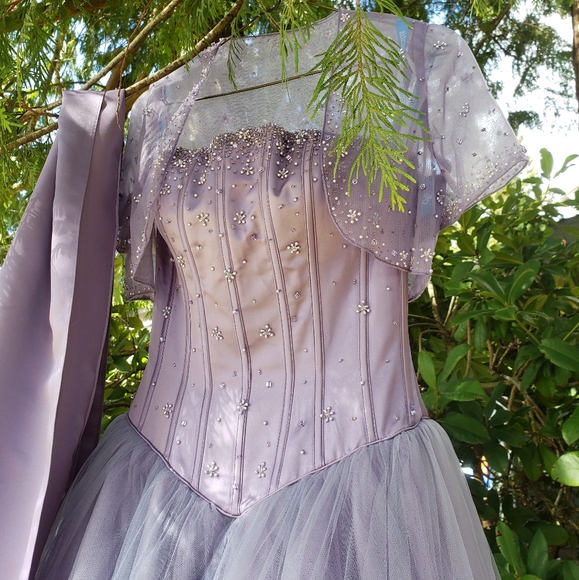 Prom / Grad Dress - Picture 15 of 16